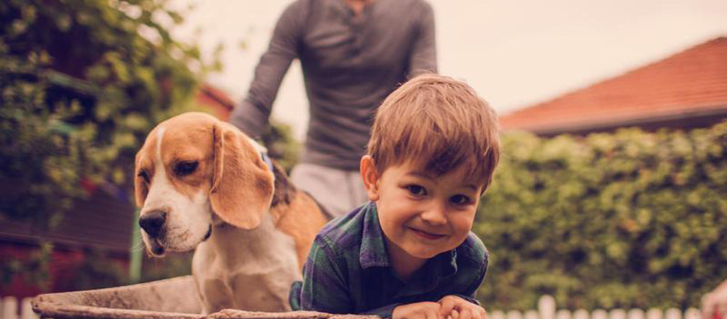 DIY Play Equipment for your Backyard