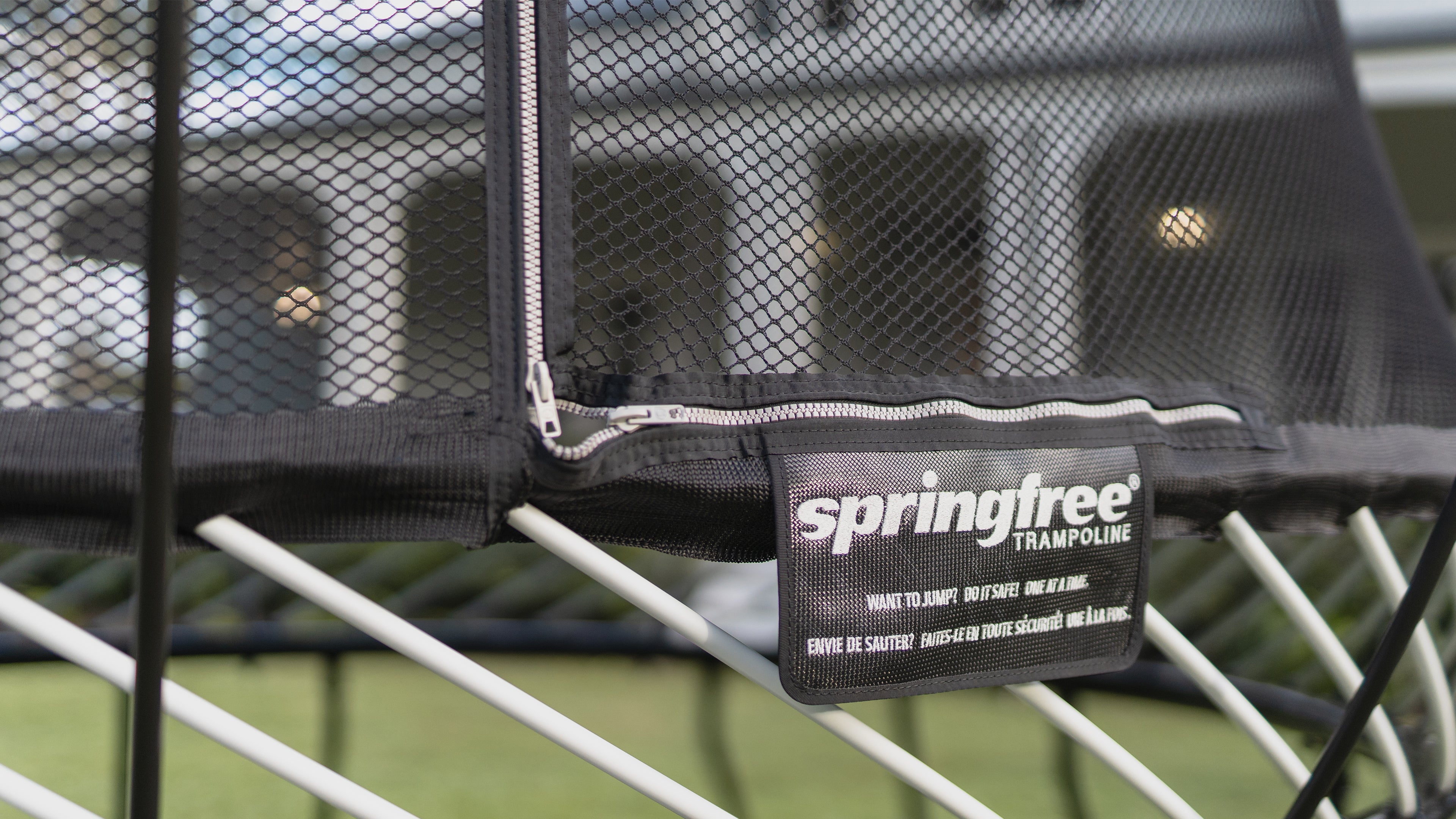 Did You Know These 8 Things About Springfree?
