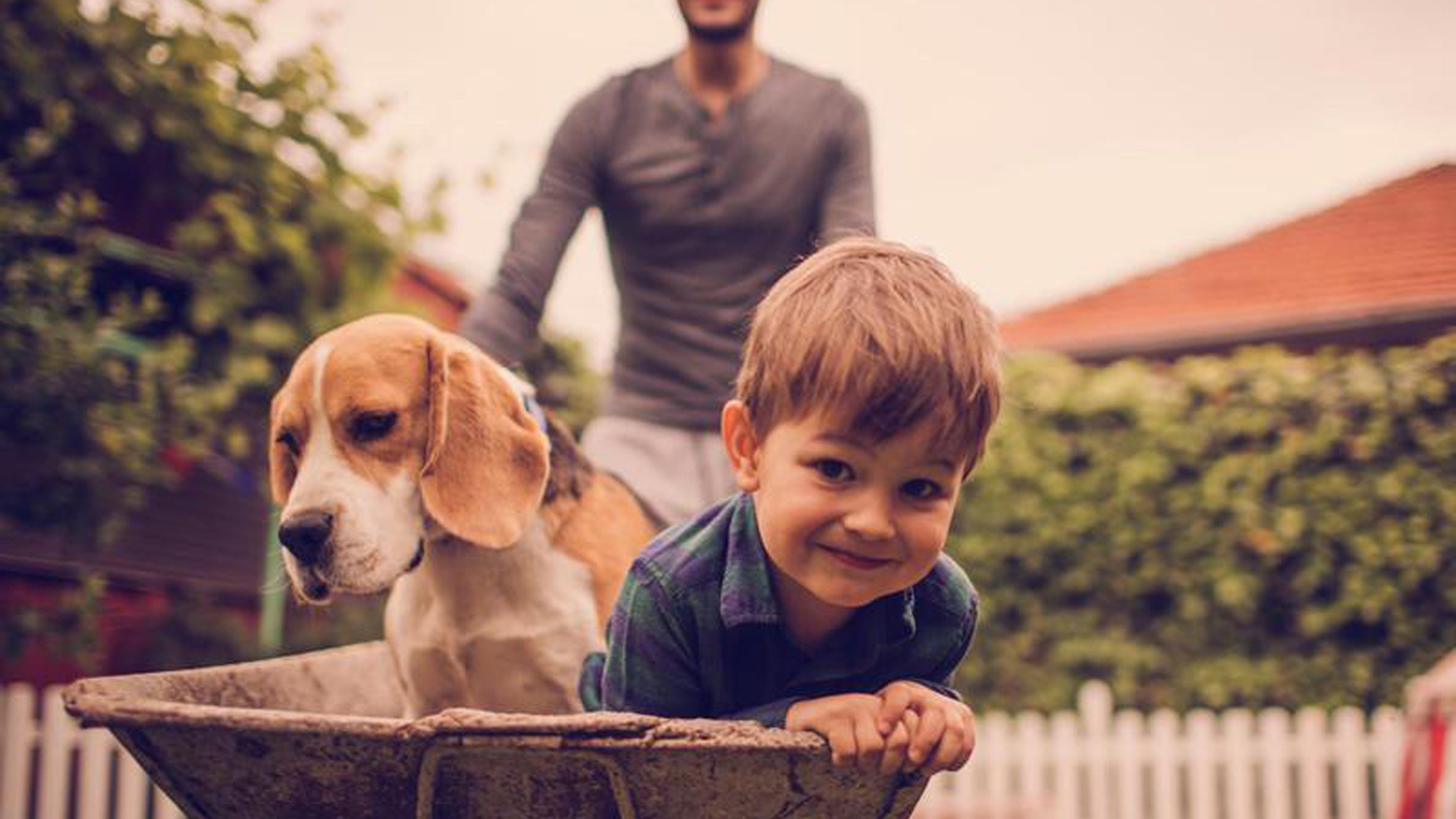 DIY Play Equipment for your Backyard