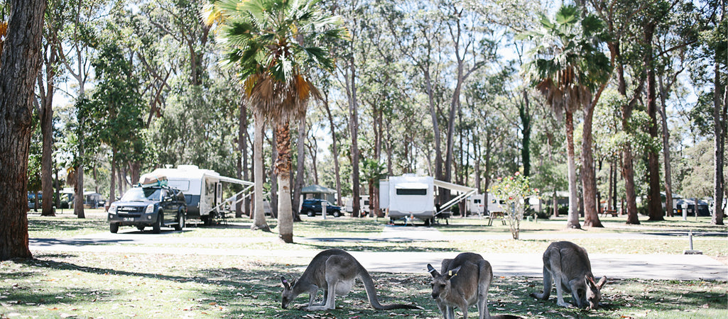 Top 20 Camping Spots to Go With the Family in New South Wales
