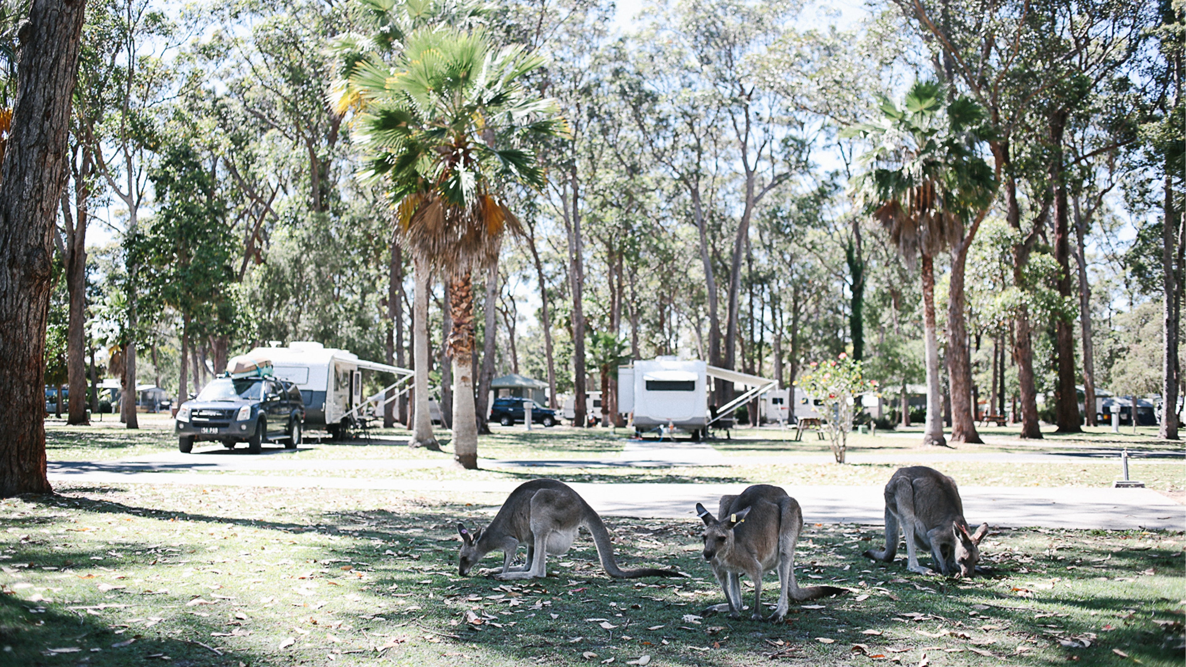 Top 20 Camping Spots to Go With the Family in New South Wales